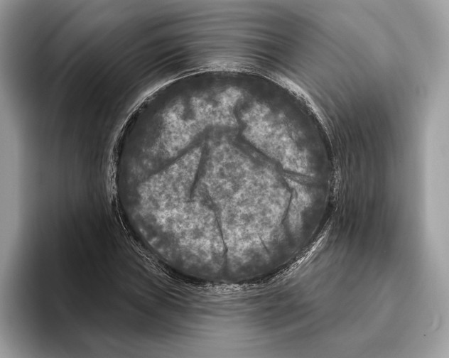 X0000095531019200801111409