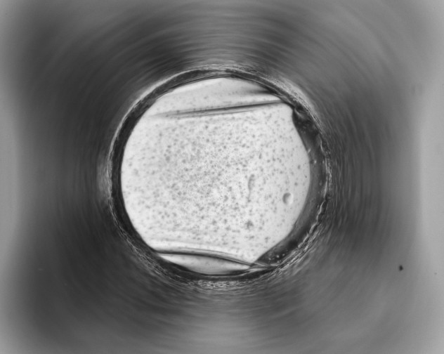 X0000095531020200801111409