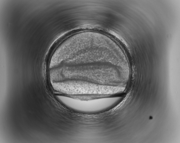 X0000095531021200801111409