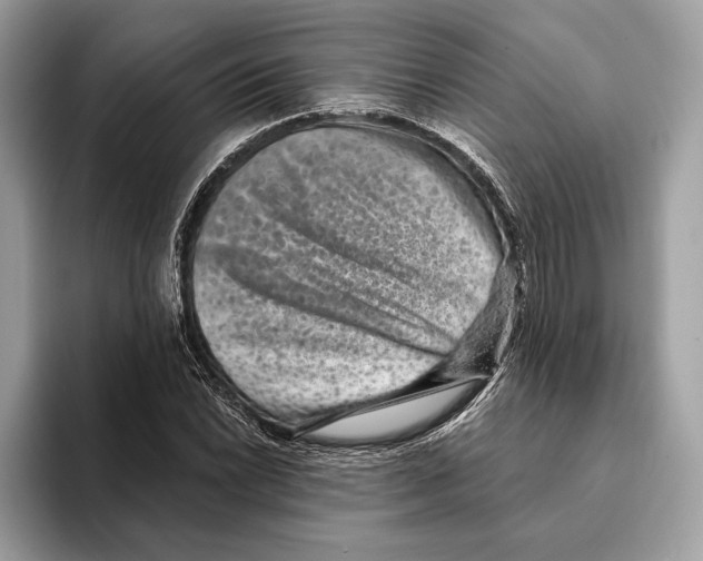 X0000095531022200801111409