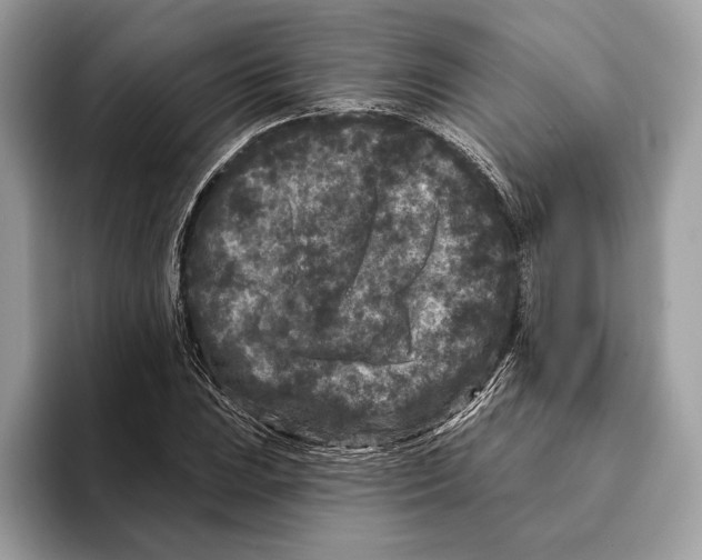 X0000095531023200801111409