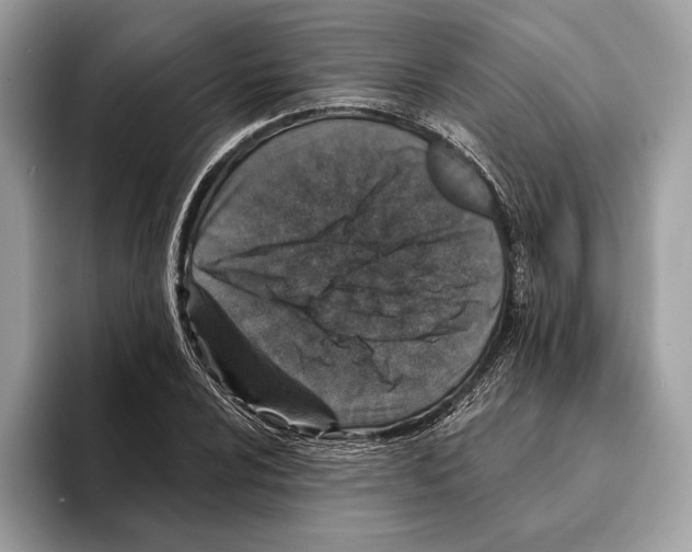 X0000095531024200801111409