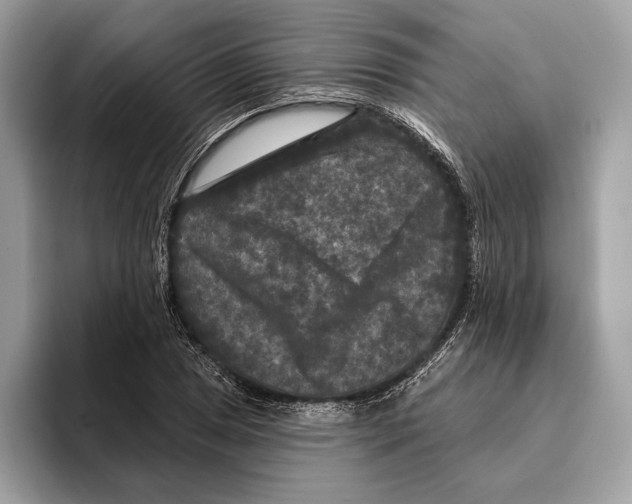 X0000095531025200801111409