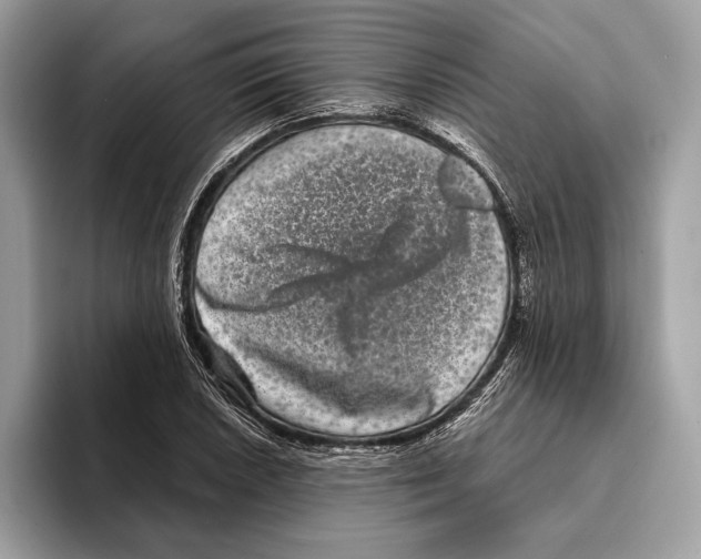 X0000095531026200801111409