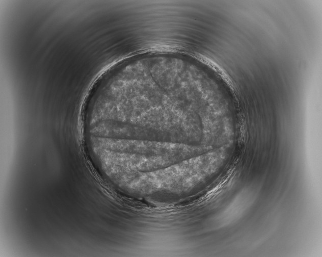 X0000095531027200801111409