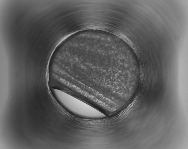 X0000095531028200801111409