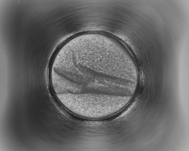 X0000095531030200801111409