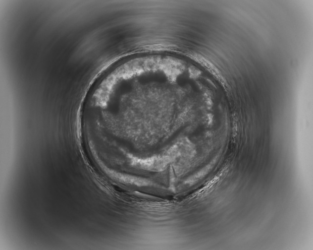 X0000095531031200801111409