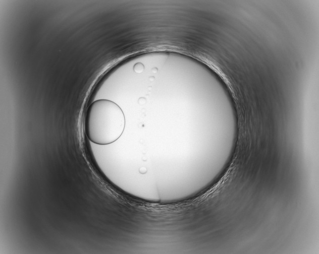 X0000095531032200801111409