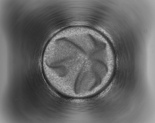 X0000095531033200801111409