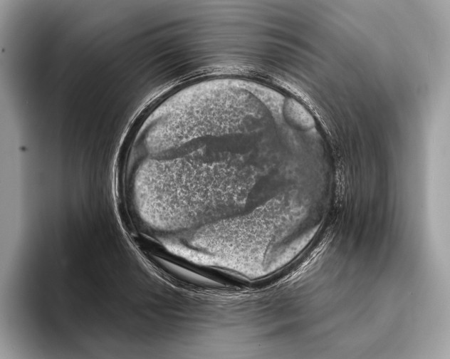 X0000095531034200801111409