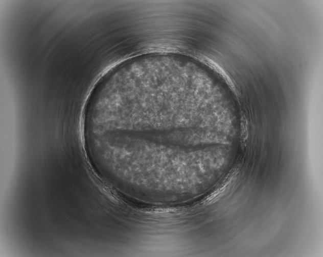 X0000095531035200801111409