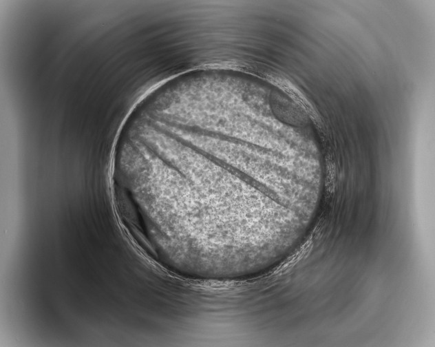 X0000095531036200801111409