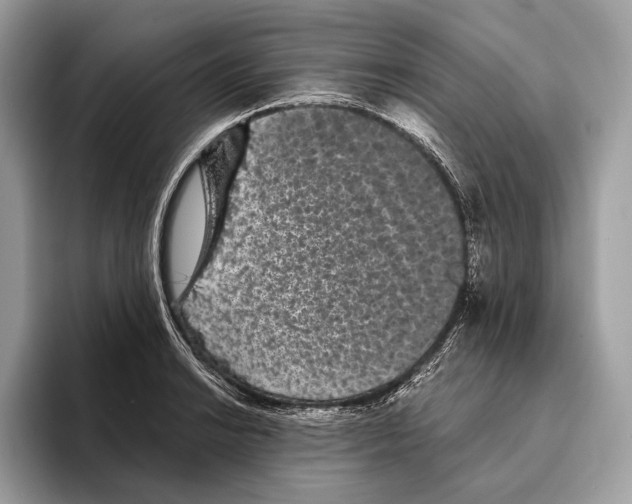 X0000095531038200801111409