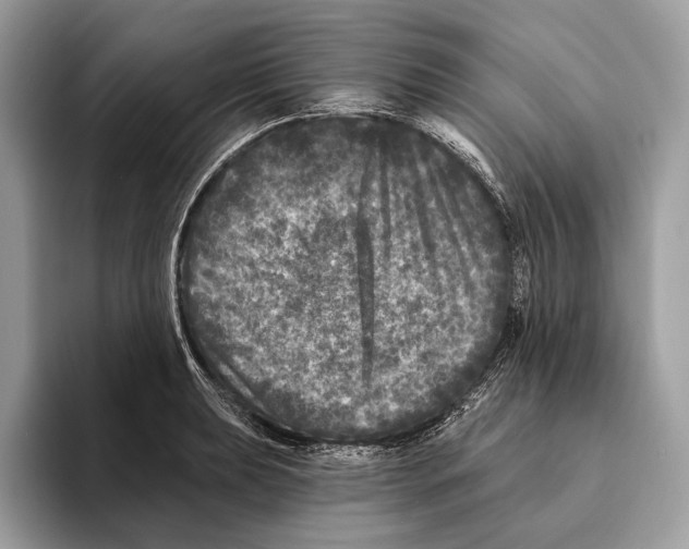 X0000095531039200801111409