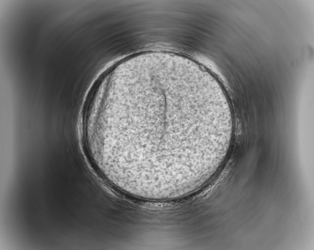 X0000095531040200801111409