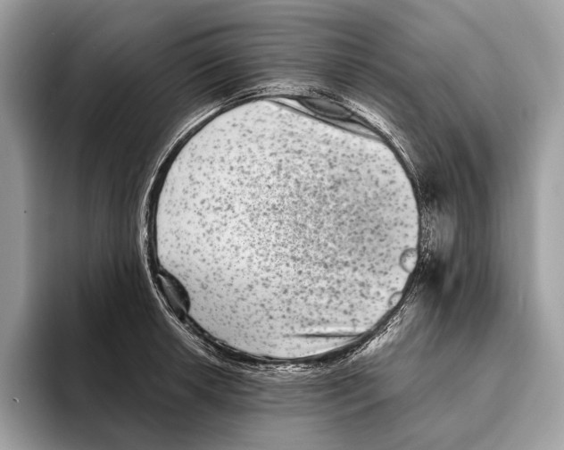 X0000095531042200801111409