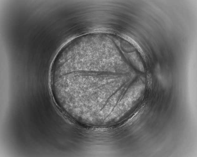 X0000095531043200801111409