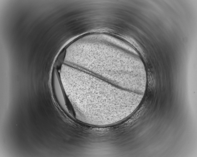 X0000095531044200801111409