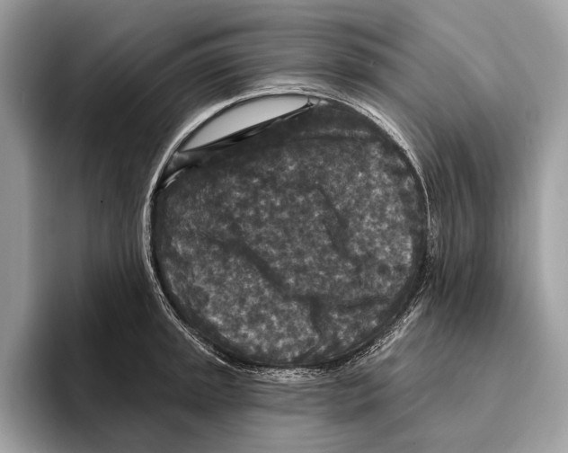 X0000095531045200801111409