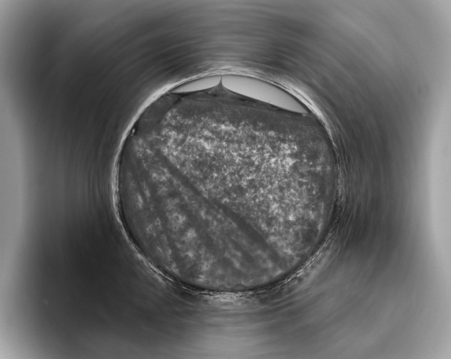 X0000095531048200801111409