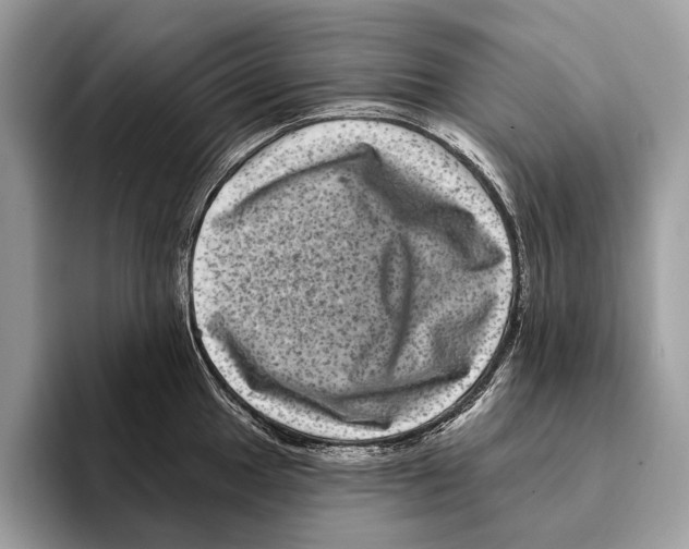 X0000095531049200801111409