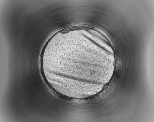 X0000095531050200801111409