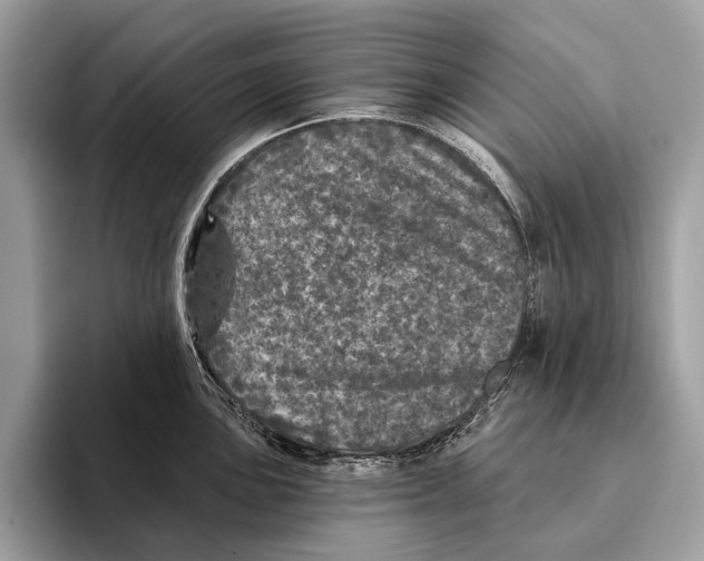 X0000095531051200801111409