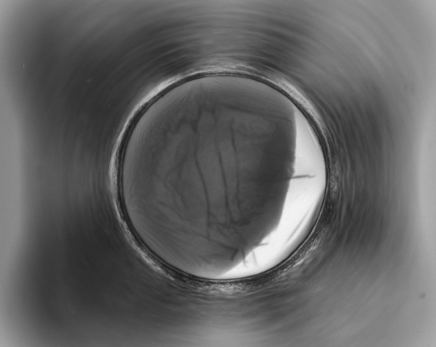 X0000095531053200801111409