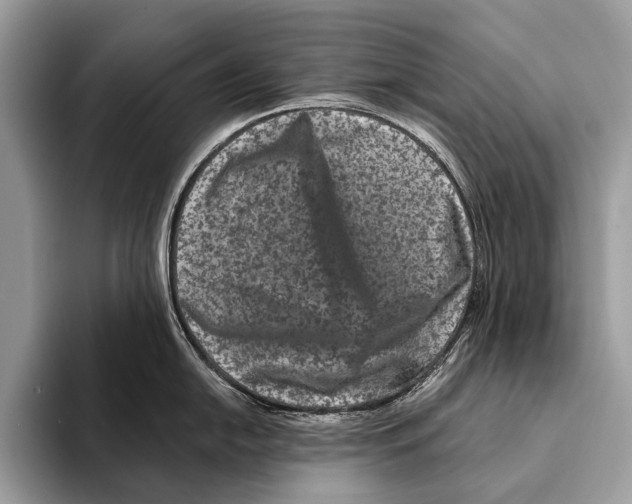 X0000095531054200801111409