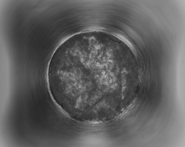 X0000095531055200801111409