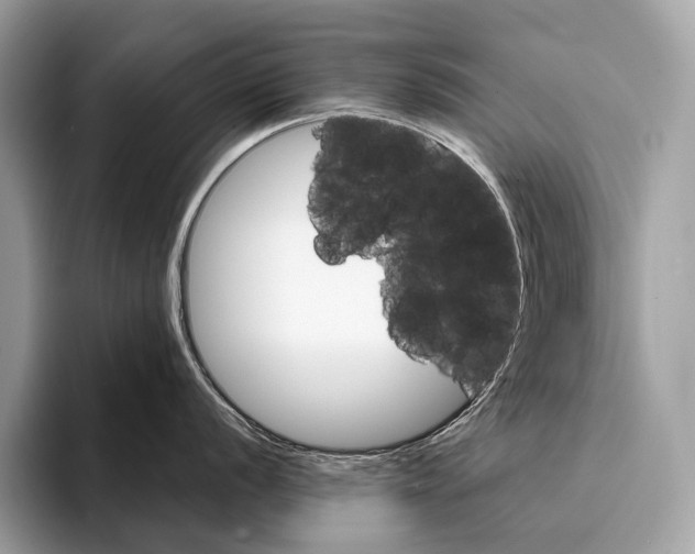 X0000095531056200801111409