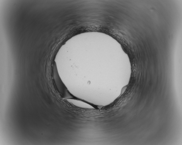 X0000095531057200801111409