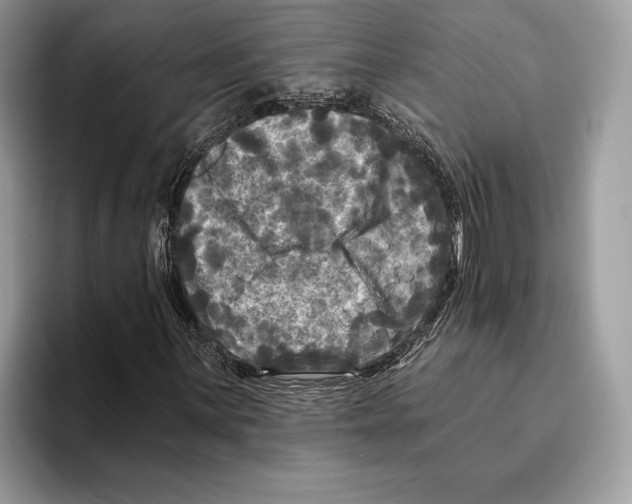 X0000095531059200801111409