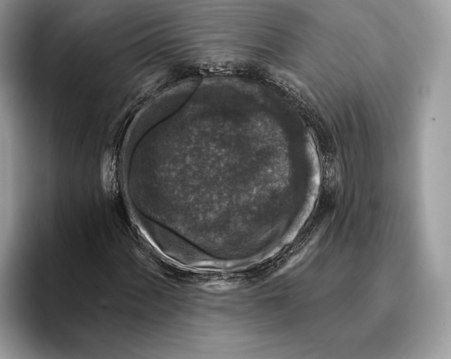 X0000095531060200801111409