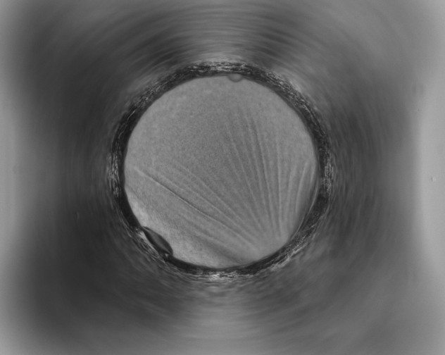 X0000095531062200801111408