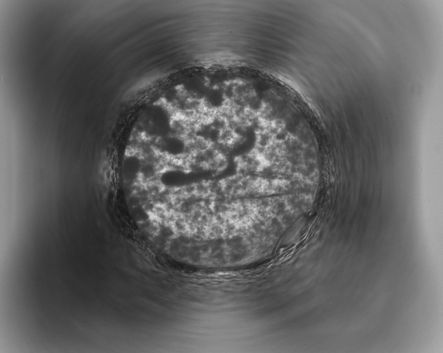 X0000095531063200801111408