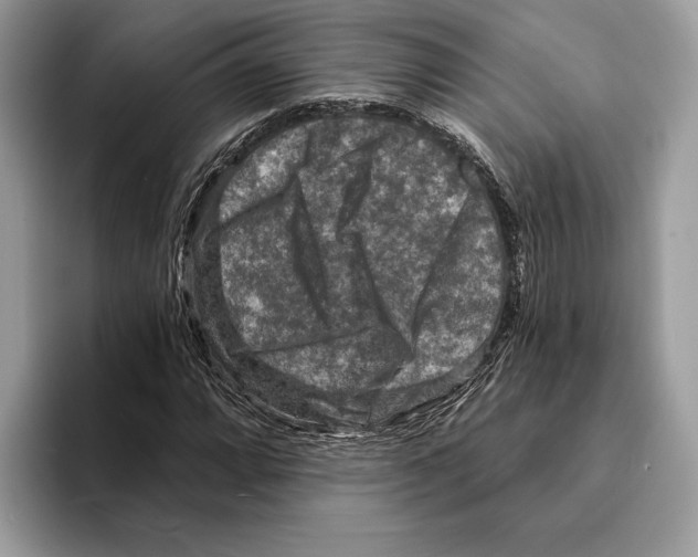 X0000095531064200801111408