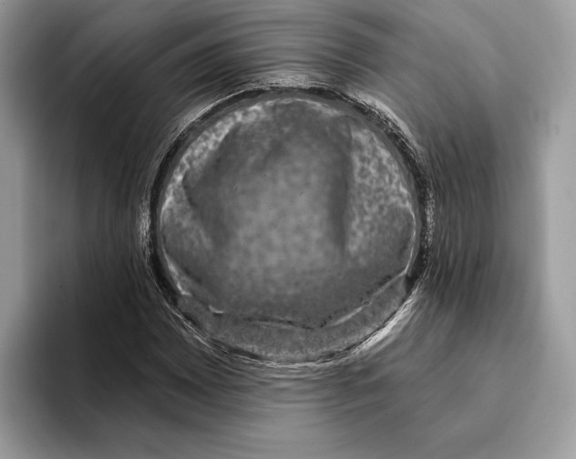 X0000095531065200801111408