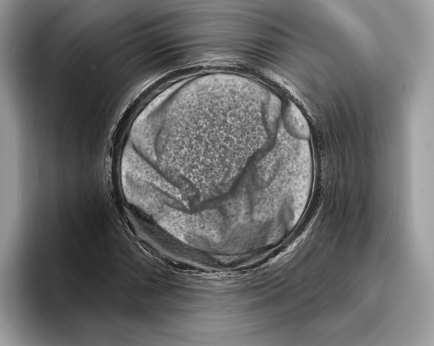 X0000095531066200801111408