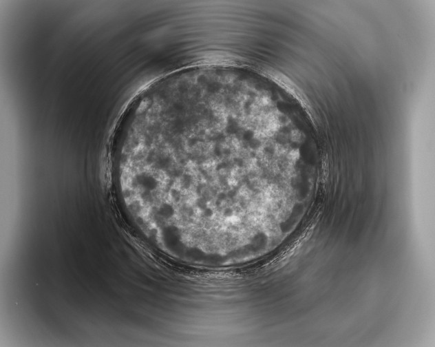 X0000095531067200801111408