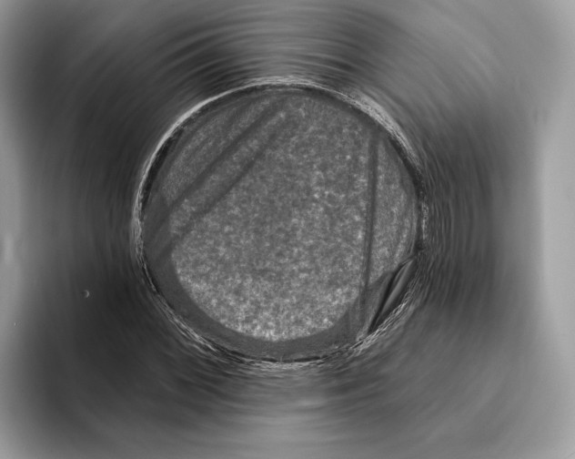 X0000095531068200801111408