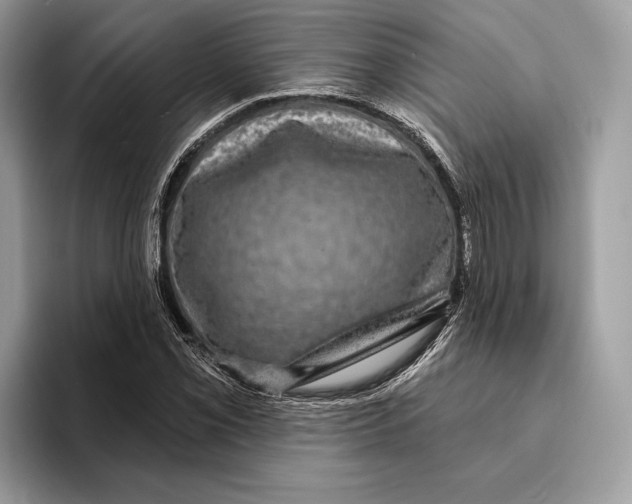 X0000095531069200801111408