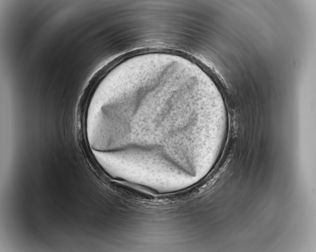 X0000095531070200801111408