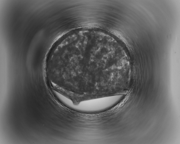 X0000095531071200801111408