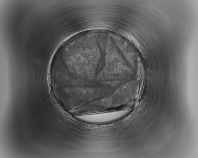 X0000095531072200801111408