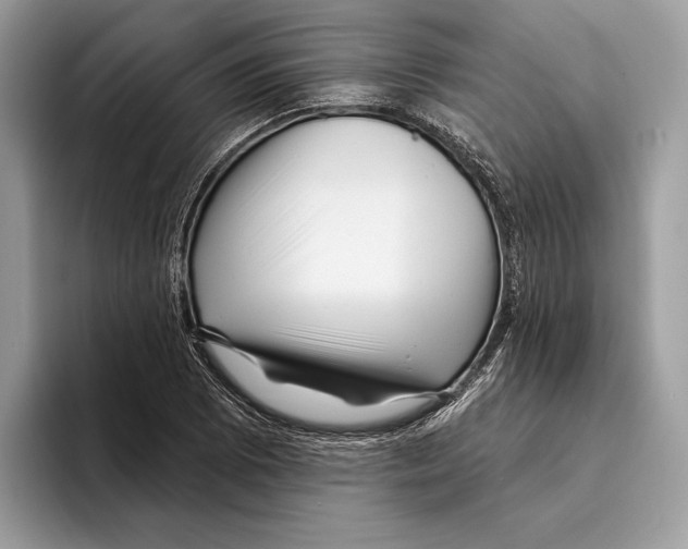 X0000095531073200801111408