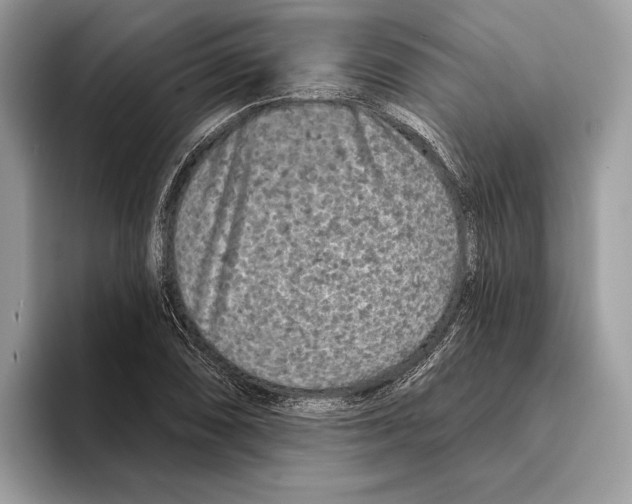 X0000095531074200801111408