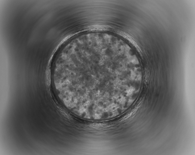 X0000095531075200801111408