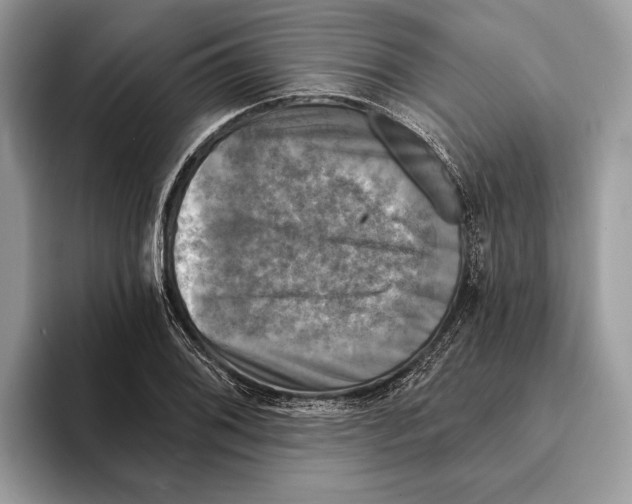 X0000095531076200801111408